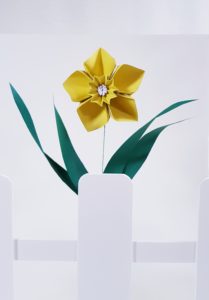 Vitrine de printemps